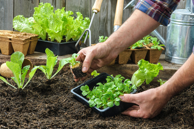 Standard Post with Image